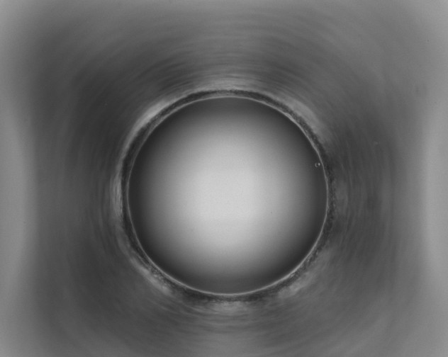 X0000111380982200907101122