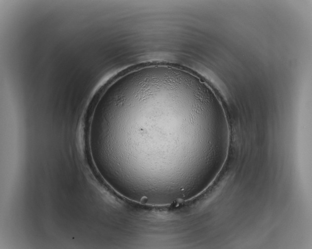 X0000111380983200907101122