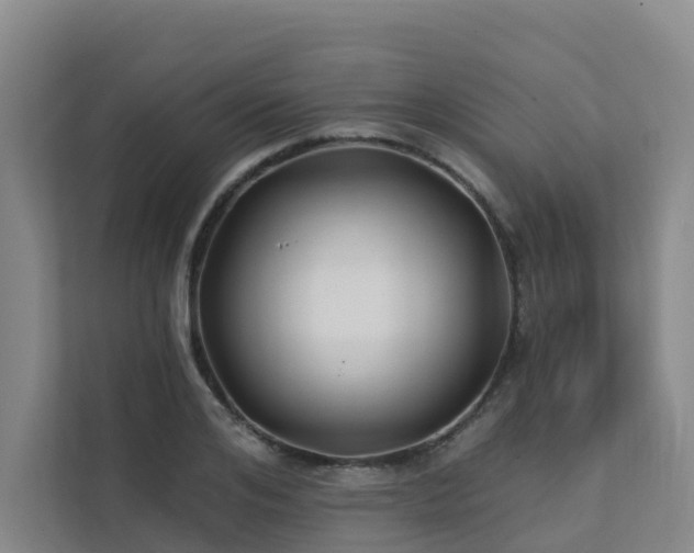 X0000111380984200907101122