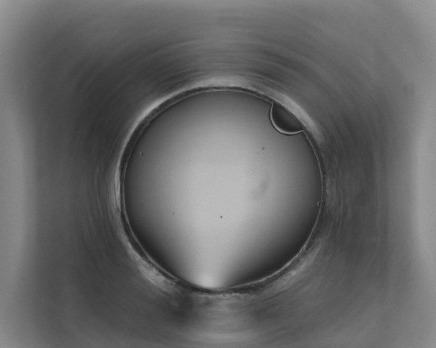 X0000111380988200907101122