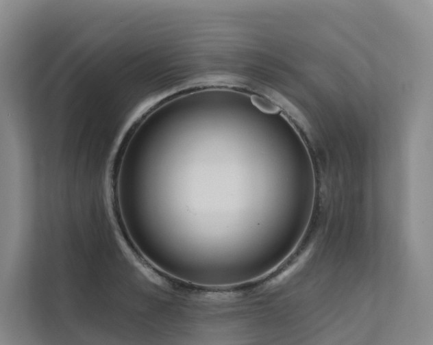 X0000111380989200907101122