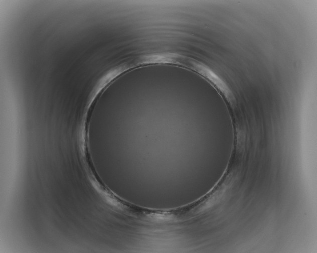X0000111380994200907101122