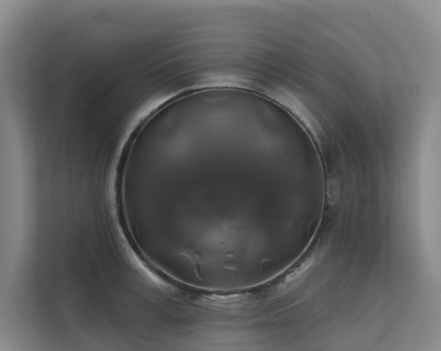 X0000111380995200907101122