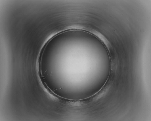X0000111380999200907101122