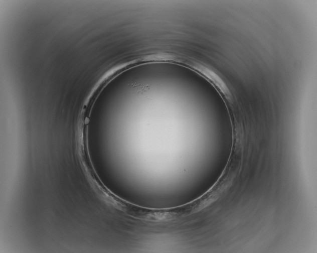X0000111381000200907101122