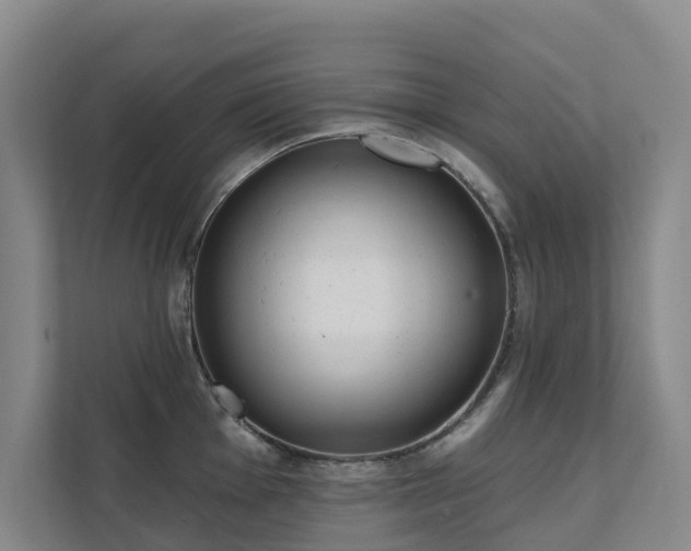 X0000111381001200907101122