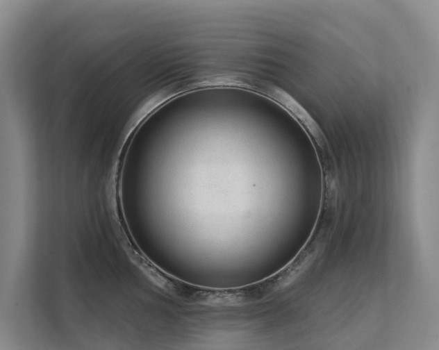 X0000111381002200907101122