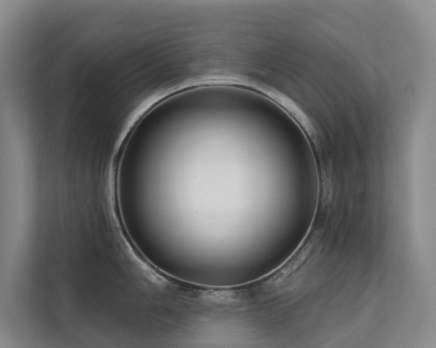 X0000111381006200907101122