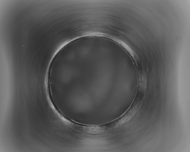 X0000111381007200907101122