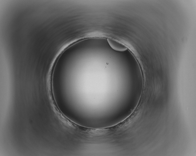 X0000111381008200907101122