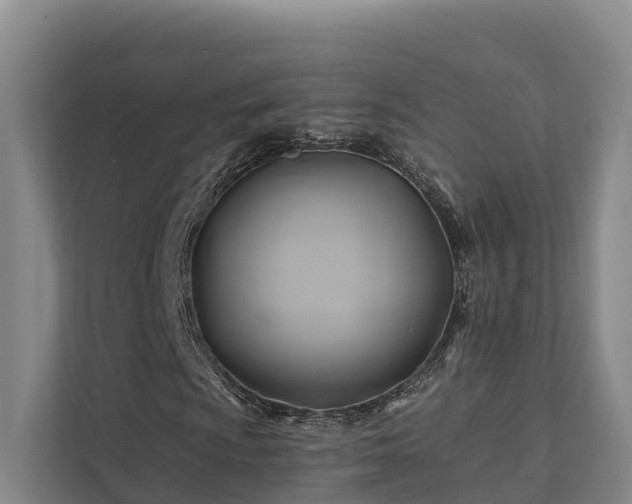 X0000111381009200907101122
