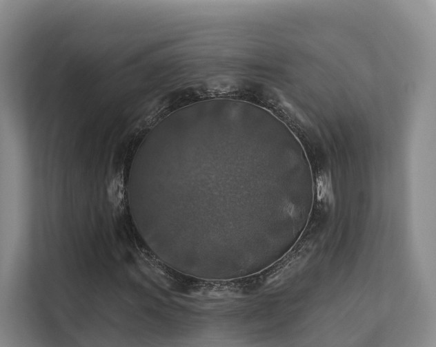 X0000111381011200907101122