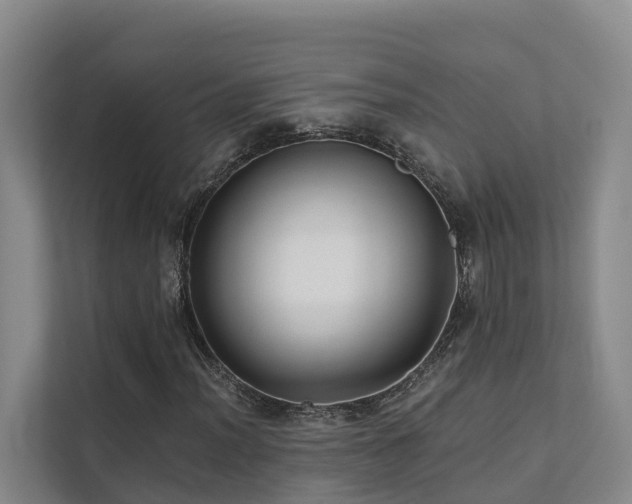 X0000111381012200907101122