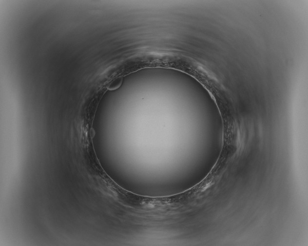 X0000111381013200907101122