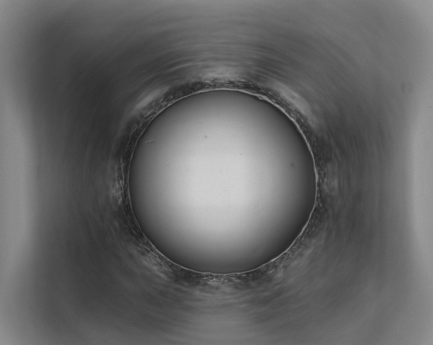 X0000111381015200907101122