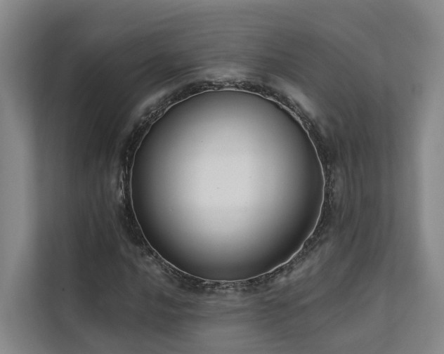X0000111381016200907101122