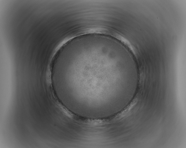 X0000111381019200907101122