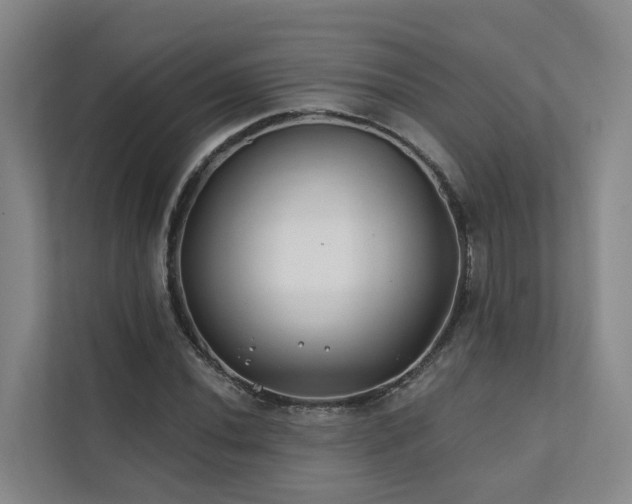 X0000111381020200907101122