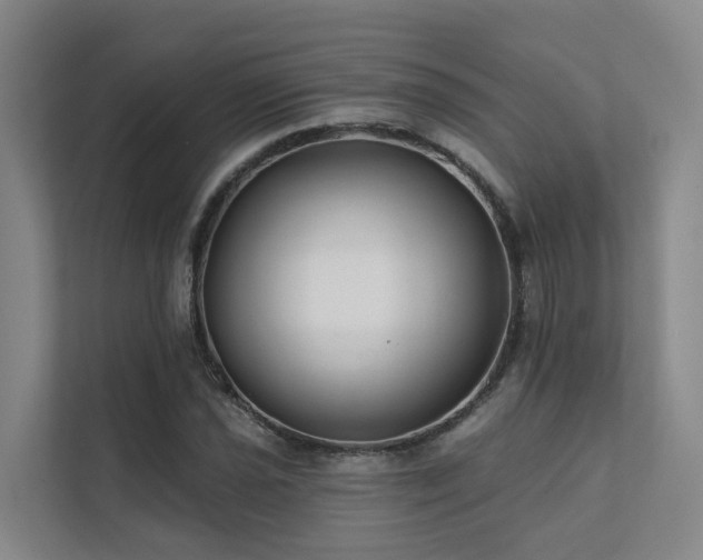X0000111381021200907101122