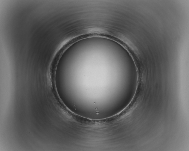 X0000111381022200907101122