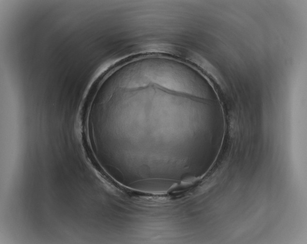 X0000111381024200907101122