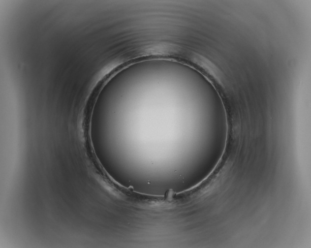 X0000111381026200907101122