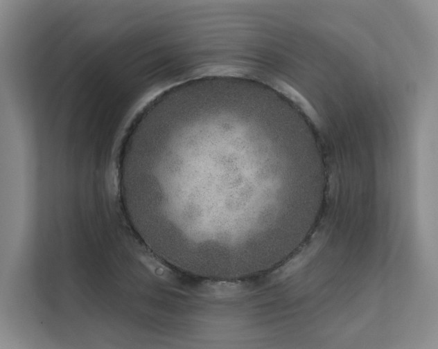 X0000111381027200907101122