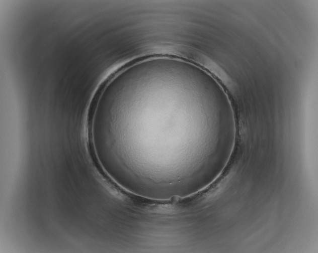 X0000111381028200907101122