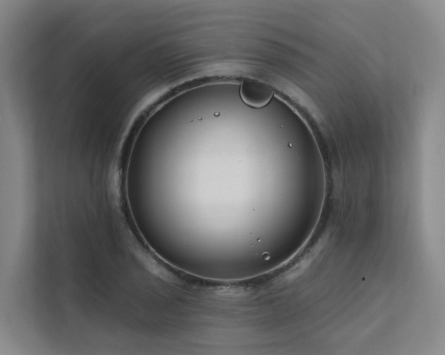 X0000111381029200907101122