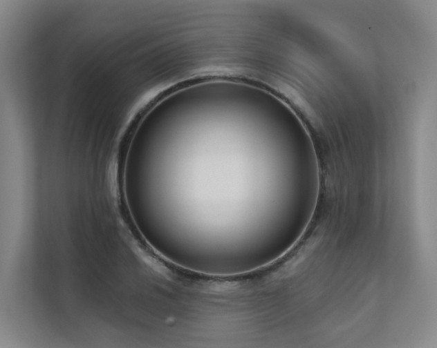 X0000111381030200907101122