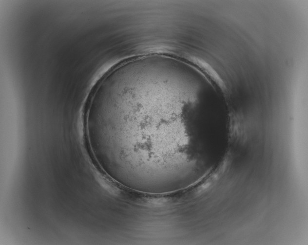 X0000111381031200907101122