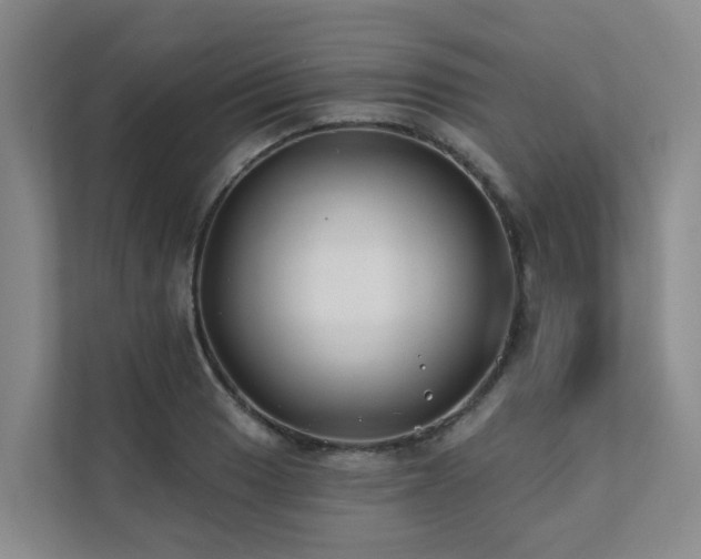 X0000111381033200907101122