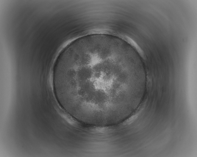 X0000111381035200907101122