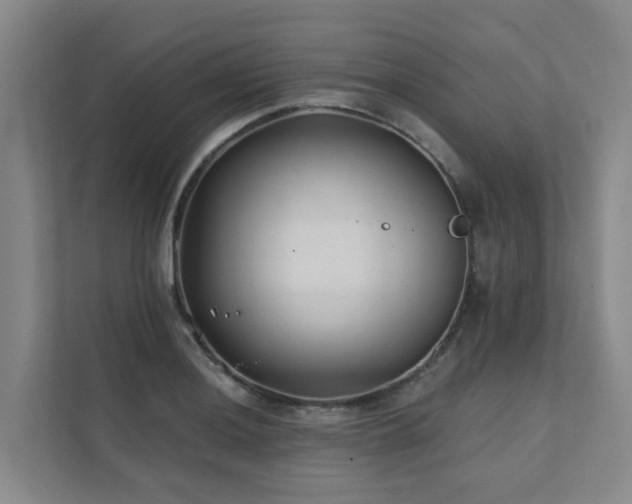 X0000111381036200907101122