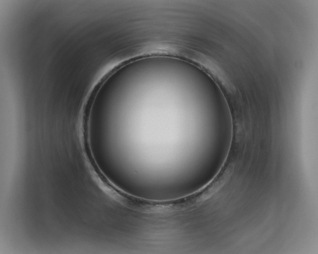 X0000111381038200907101122