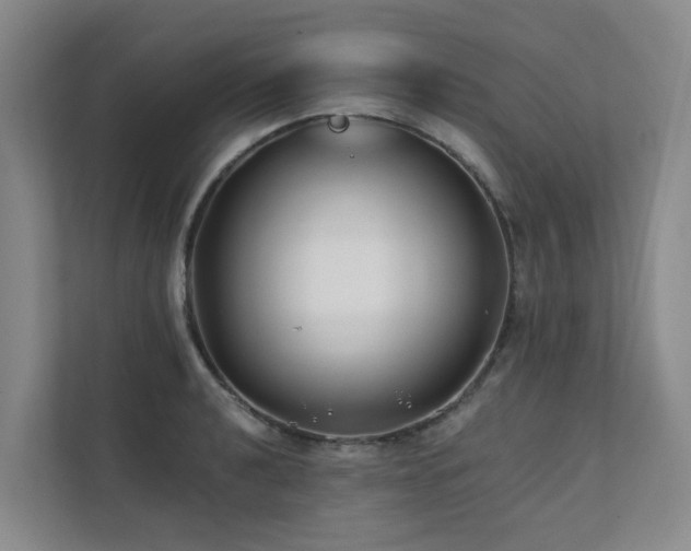 X0000111381040200907101122