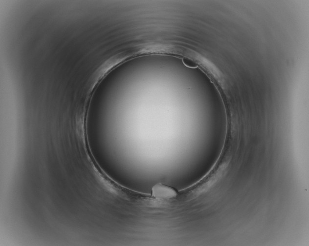 X0000111381041200907101122