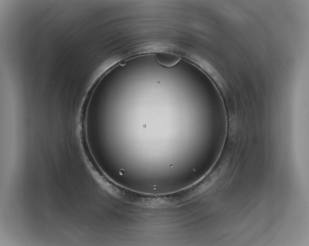 X0000111381042200907101122
