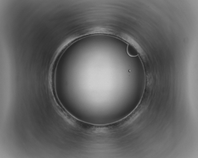 X0000111381043200907101122