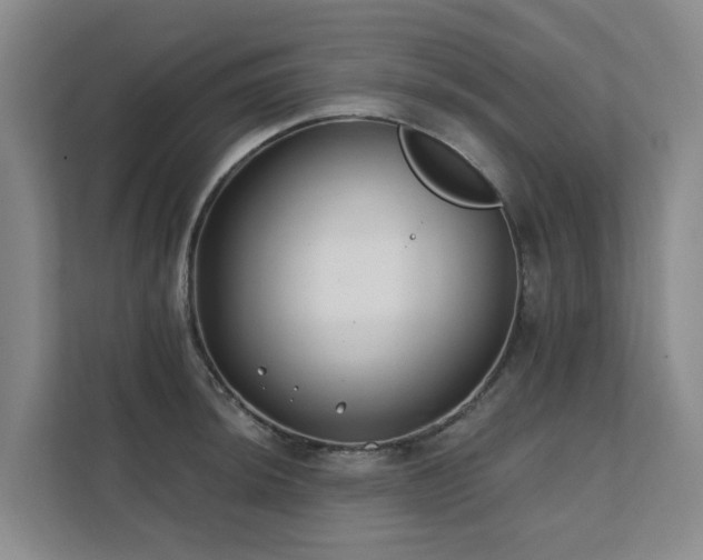 X0000111381044200907101122