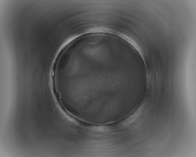 X0000111381045200907101122