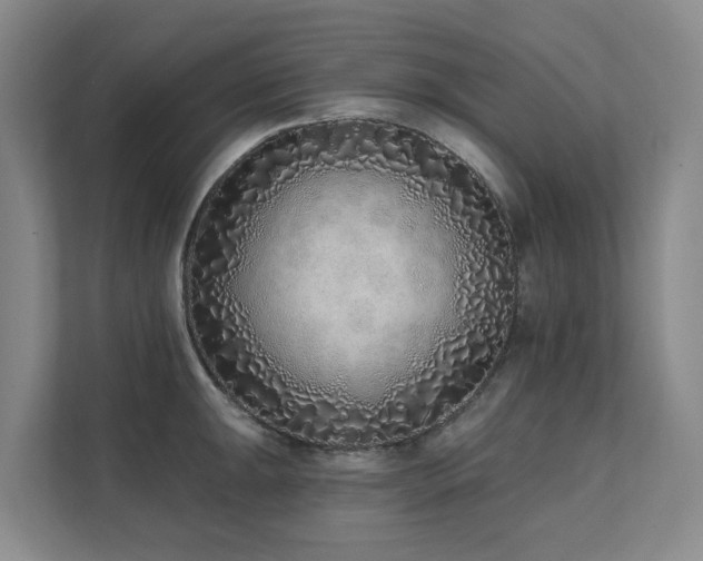 X0000111381047200907101122