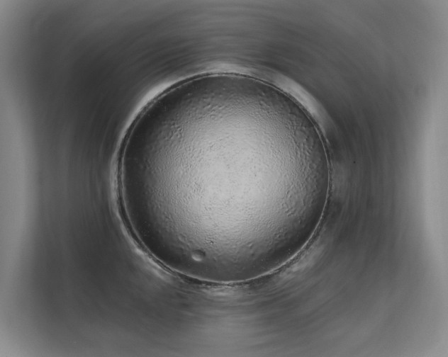 X0000111381048200907101122