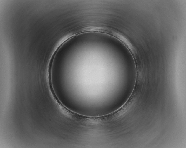 X0000111381050200907101122