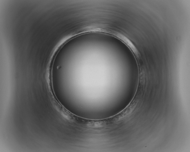 X0000111381051200907101122