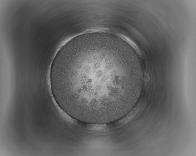 X0000111381055200907101122