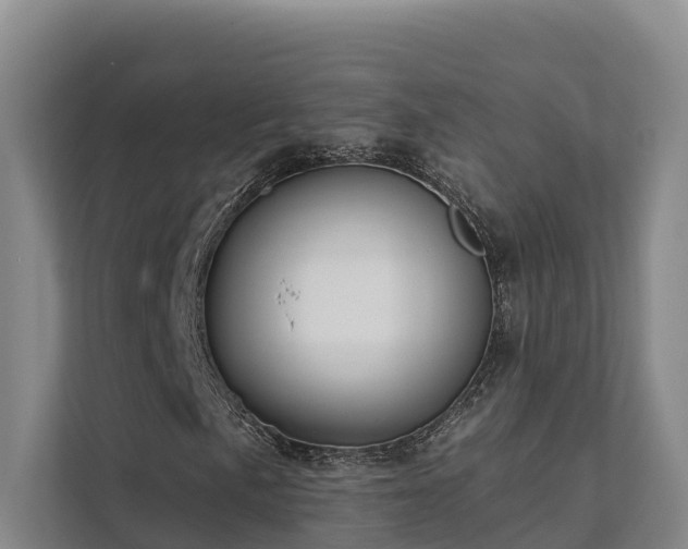 X0000111381057200907101122