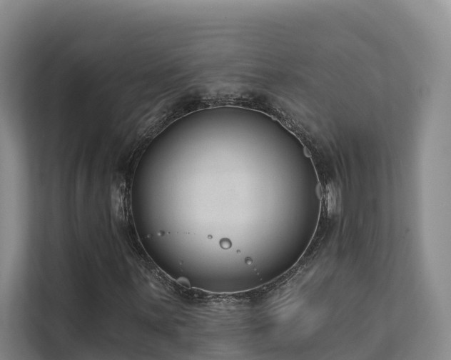 X0000111381059200907101121