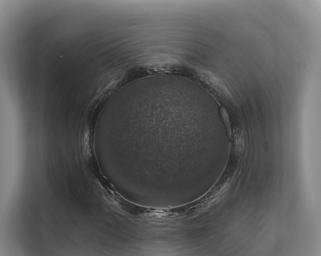 X0000111381060200907101121