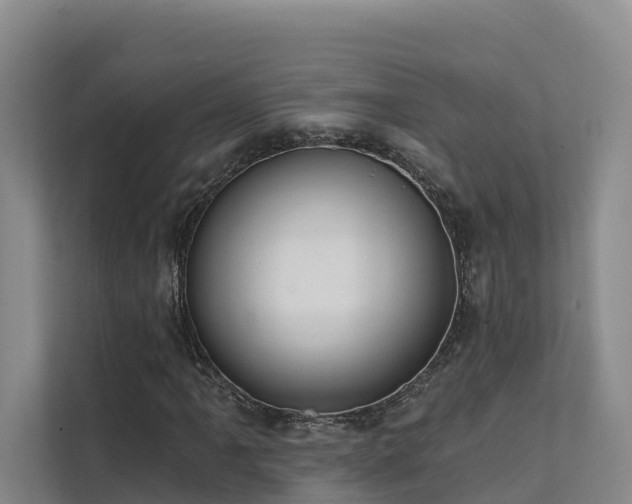 X0000111381061200907101121